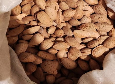 تصویر 1 از بادام درختی ایرانی با مغز سفید و خوشمزه